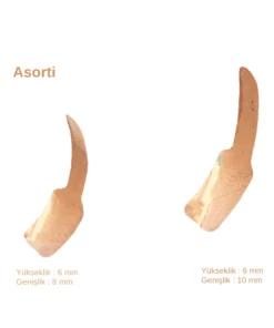 Ön bölge restorasyonları için farklı boyutlarda (8 mm ve 10 mm) her birinden 50'şer adet bulunan, toplam 100 adet üç eksenli anatomik kavisli bakır renkli Golddent GD Bakır Spoon Matrix bandı seti