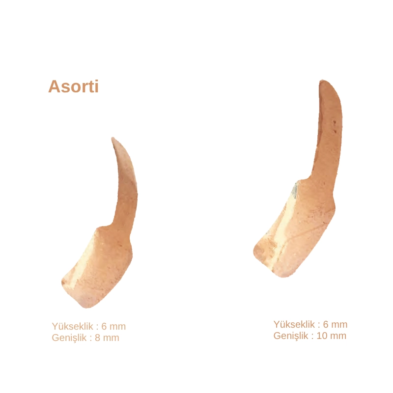 Ön bölge restorasyonları için farklı boyutlarda (8 mm ve 10 mm) her birinden 50'şer adet bulunan, toplam 100 adet üç eksenli anatomik kavisli bakır renkli Golddent GD Bakır Spoon Matrix bandı seti